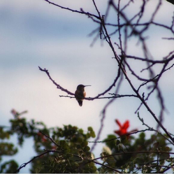 Meet your Posher, Nina - Picture 1 of 1